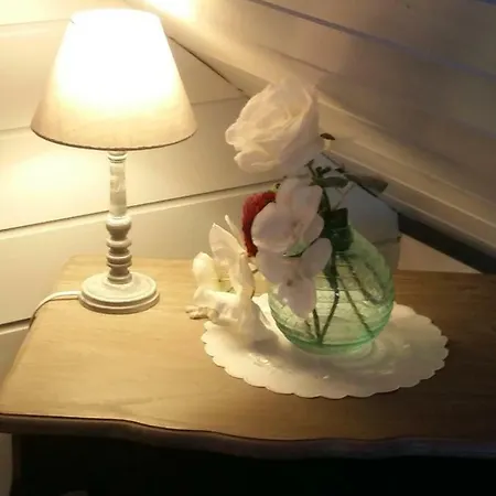 Timaro Kır Evi *